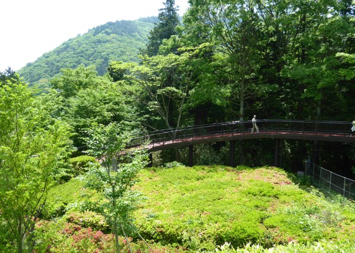 A man crossing a long bridge at Hakone Open-Air Museum.